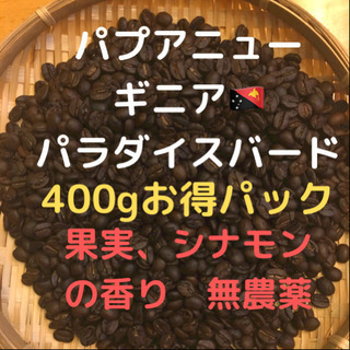 自家焙煎コーヒー豆　パラダイスバード(豆又は粉)