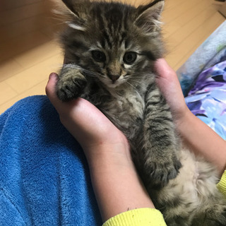 家族見つかりました。^ - ^ − 岐阜県