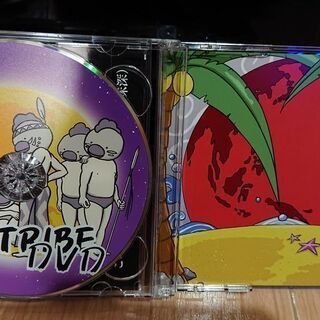 レペゼン地球　CD+DVD　地球アイランドの画像