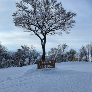 野沢温泉スキー場で一緒に滑りましょう - 下高井郡