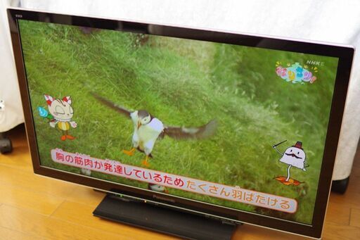 32インチ(HDMI接続 FHD 1920x1080)ディスプレイ(VIERA-DT3) & USB接続録画用HDD 2TB & HDMIケーブル(2m)