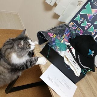 【募集】iPhone撮影の動画編集を承ります