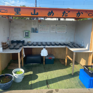 里山公園前　改良めだか無人販売所　5/25 出店
