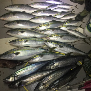 鳥羽、志摩沖で釣りをしたい人募集‼️ - 友達