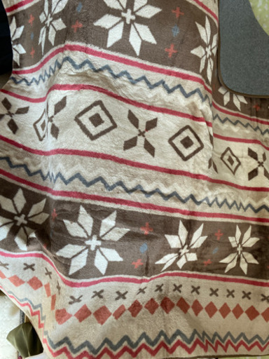 カーペット(ニトリ冬用)