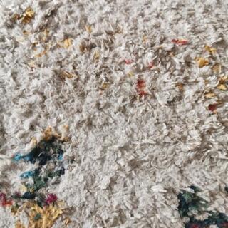 カーペット ラグ 無料でお譲りします ウィルトン織り エキゾチックの画像