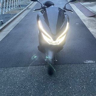 PCX125 JF81 限定カラー　マッドブラックの画像