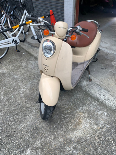 スクーピー　ベージュ