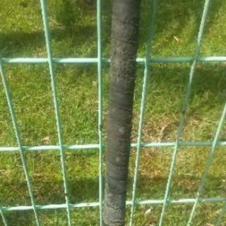 中古軟式のA球、バット1本の画像