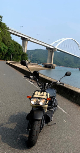 ホンダ　ズーマー    商談中