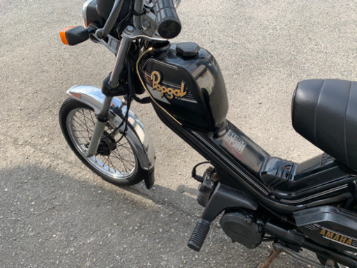 ポップギャル スペシャル 実動車 書類有 神奈川県川崎市発 配送可能