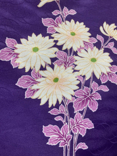 5MKO384  袷着物  紫 訪問着 刺繍 菊柄