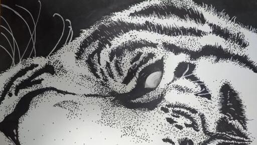 イラストトラ