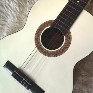 昭和のアコースティック ギターギター🎸 