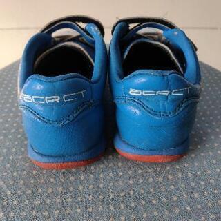 ジュニアサッカートレシュの画像