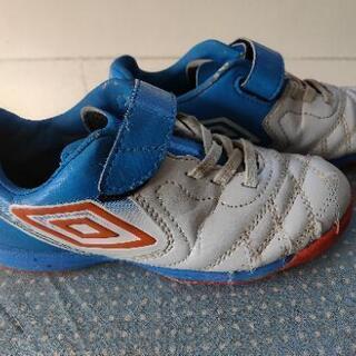 ジュニアサッカートレシュの画像