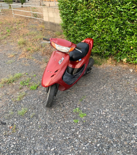 ライブディオZX仕様　原付　バイク　50cc   車体