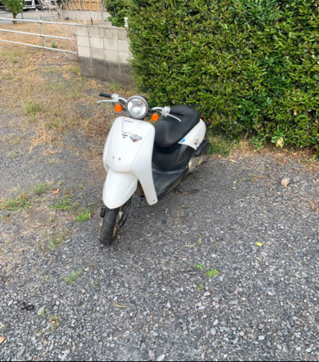 ホンダ　トゥデイ　原付　バイク　50cc   車体