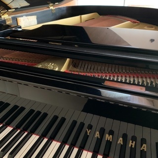 ストリートピアノ🎹を一緒に弾きに行きませんか？