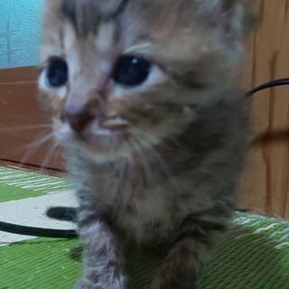 育てました(*￣∇￣*)
