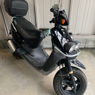 bws100