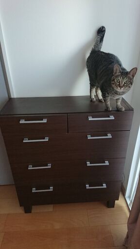 タンス