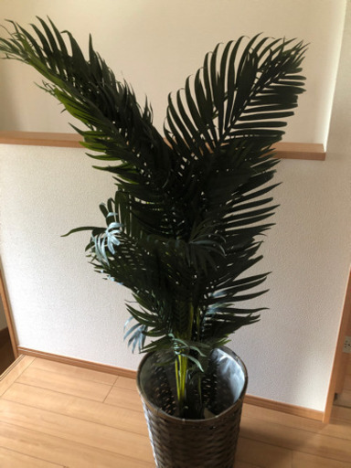 人工観葉植物　アレカヤシ　150cm
