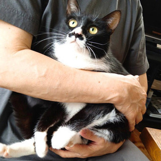 ☆人馴れ抜群　子猫のようなママ☆