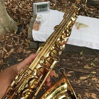 サックス友達 仲間 聴いてくれる方募集します