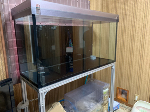 120cm水槽