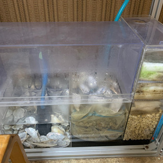 120cm水槽の画像