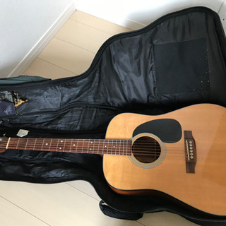 Ritter製アコースティック・ギター用ソフト・ギグ・バッグの画像