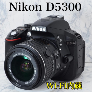 初心者向け●Wi-Fi内蔵●簡単自撮り●SDカード付き●ニコン D5300 1ヶ月動作保証あり！