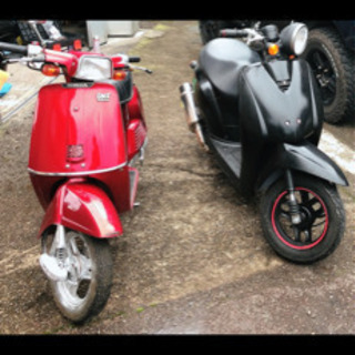 交換希望！　旧車フルマークタクトorトゥデイのどちらかと50cc...