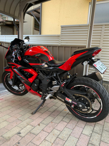 ☆美車☆ ninja250 SL 2015年式　自賠責残有　ニンジャ　不具合なし