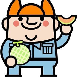 メロン栽培のお手伝い　△夕張市△