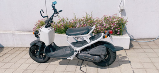 ズーマー　AF58 (取引中)