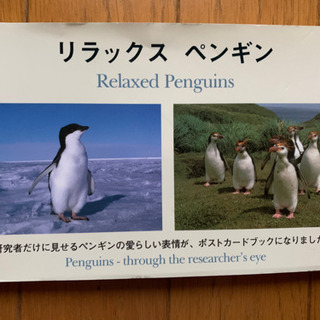 【今週200円】【定価1,650円】【未使用】『ペンギン絵葉書になる写真集🐧』の画像