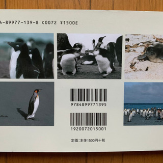 【今週200円】【定価1,650円】【未使用】『ペンギン絵葉書になる写真集🐧』の画像