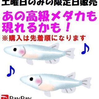 無人メダカ販売所！尼崎市南塚口町1丁目の無人古着屋「無人古着屋M...