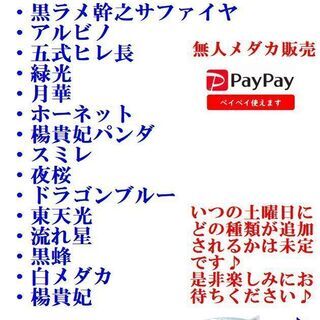 無人メダカ販売所！尼崎市南塚口町1丁目の無人古着屋「無人古着屋MN塚口店」  - 尼崎市