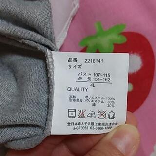 Tｼｬﾂの画像