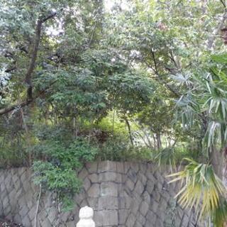 農地を再生、維持管理していただける方を探してます。