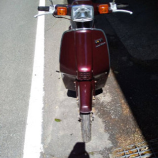 スズキラブの画像