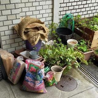 植物　プランター　園芸用品など　全てお譲りします