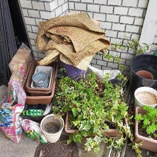 植物　プランター　園芸用品など　全てお譲りしますの画像