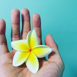 2021年5月オープンのハワイのロミロミやヒーリングを提供するサロンです。料金お得に！ - ボディケア