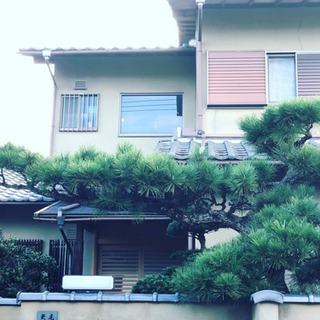 剪定、草刈り、伐採 - 奈良市