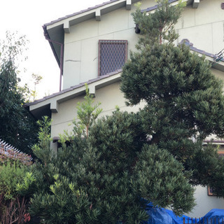 剪定、草刈り、伐採 − 奈良県
