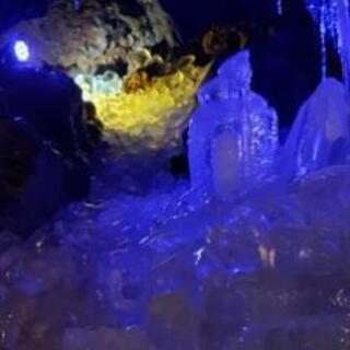 美術館一緒に行ってくれる方！